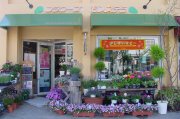 「フラワーズ・モンステラ」　（山形県天童市）の花屋店舗写真1