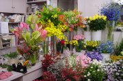 「フラワーズ・モンステラ」　（山形県天童市）の花屋店舗写真2